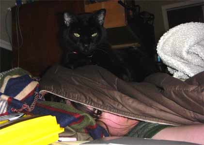 Patton shows who's boss Patton shows who's boss