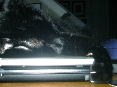 my laptop
